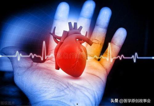 心脏视频,视频带你领略生命泵动的奇迹