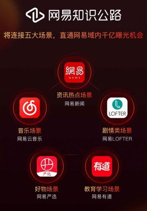 视频知识,探索视觉信息的深度解读