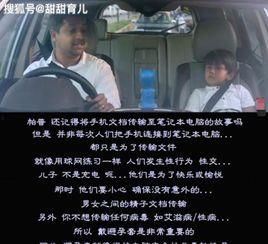 性插插视频,一场视觉与情感的盛宴
