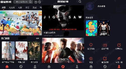 资源视频在线观看,在线观看新体验概览