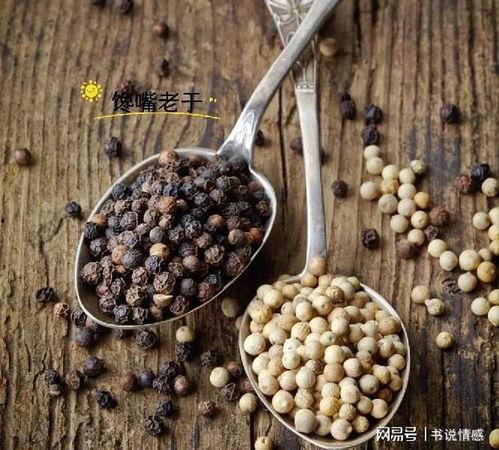 胡椒视频,探索美食与生活的独特视角