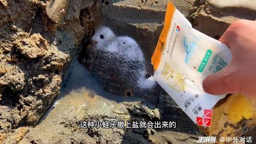 挖沙子视频,揭秘现代化挖沙作业的震撼瞬间