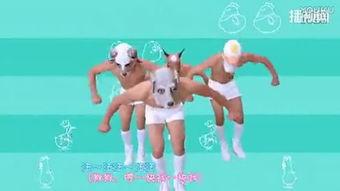 小鸡小鸡视频,萌趣互动，快乐成长之旅