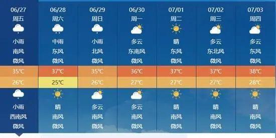 天气热视频,清凉一“夏”视频大放送
