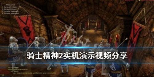 骑士视频,探寻英勇冒险的视觉盛宴