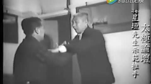 推手视频,一招一式间的智慧较量