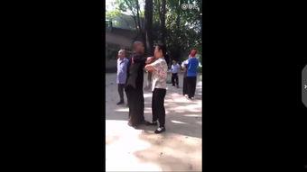 推手视频,一招一式间的智慧较量