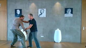 推手视频,一招一式间的智慧较量