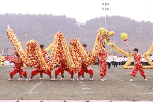 舞龙视频教学,传承非遗，轻松学会舞龙技艺