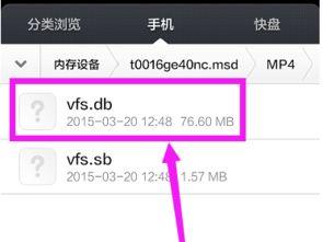 缓存视频是什么意思,高效观看体验的秘密武器