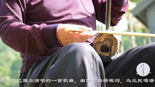 二胡天边视频,悠扬旋律，穿越时空的音韵之旅