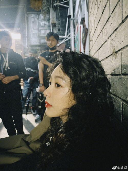 网红吃瓜免费爆料合集,免费爆料合集大揭秘