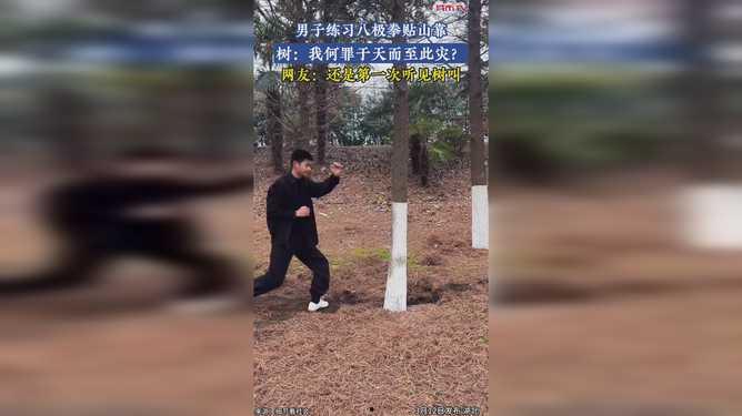 八极拳贴山靠实战视频,八极拳贴山靠实战技巧解析