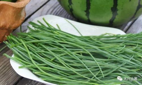 近期网红吃瓜爆料,娱乐圈最新瓜料大揭秘！