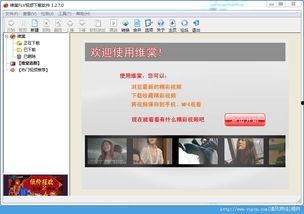 维棠视频,探索视觉盛宴的无限可能