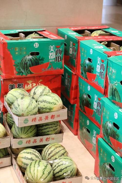 广州港技吃瓜最新事件爆料,揭秘背后惊人真相