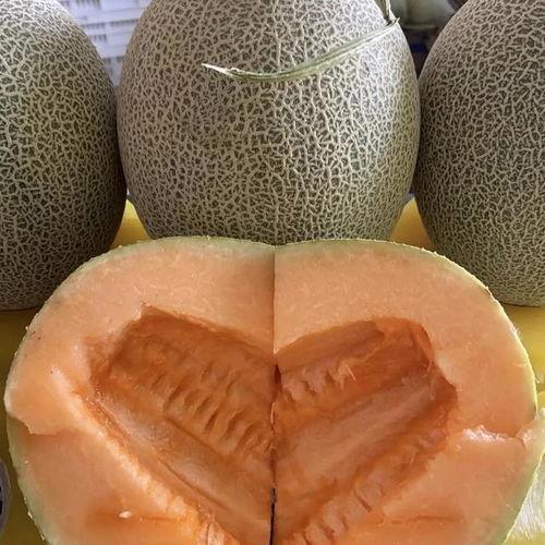 哈密瓜今日价钱表最新,今日行情一览