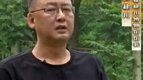 建哥视频,深度解析其独特魅力与教育价值