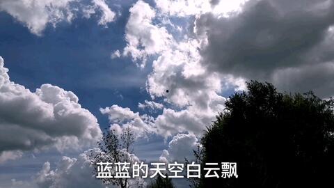 雨后视频,捕捉自然之美瞬间