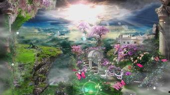 仙境视频,探寻神秘奇幻世界的奇幻之旅