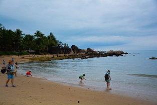 海角社区-吃瓜黑料-爆料海角,揭秘海角生成背后的神秘故事