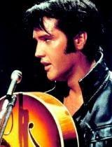 猫王视频,揭秘猫咪的神秘世界