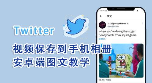 推特怎么下载视频,轻松下载推特视频教程