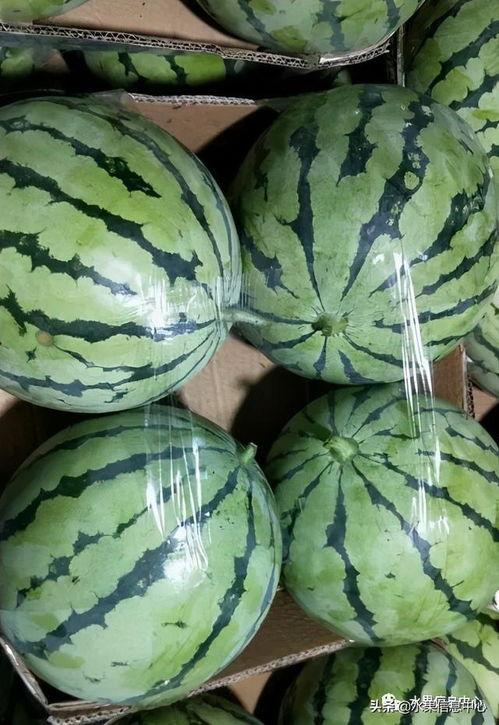 今日吃瓜2021,笑料百出，揭秘娱乐圈风云