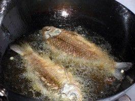 鱼的做法大全家常视频,多款美味鱼菜视频教程汇总