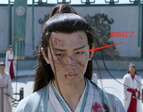 成毅视频,视频中的风采与情感共鸣