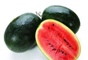 黑料吃瓜鉴黄师下载,下载背后的真相与争议