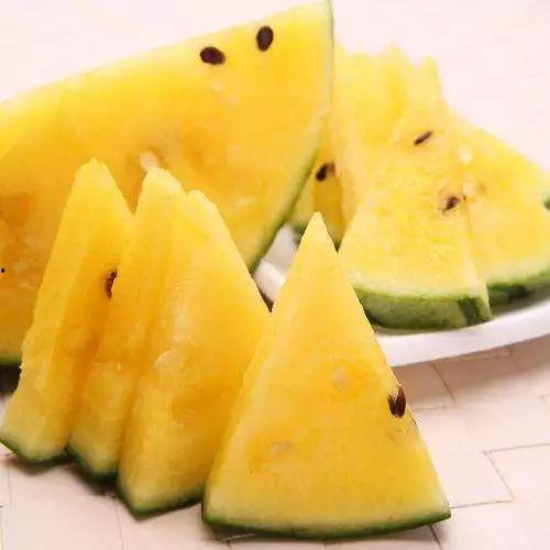 黑料吃瓜鉴黄师下载,下载背后的真相与争议