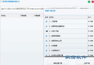 b站视频解析下载,轻松获取心仪视频的独家攻略