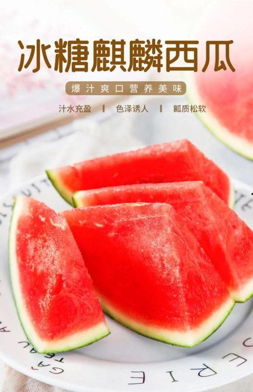 冰糖麒麟瓜今日价格,价格行情一览”
