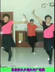 年轻广场舞视频大全集,年轻广场舞视频大全集赏析