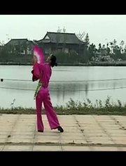 年轻广场舞视频大全集,年轻广场舞视频大全集赏析