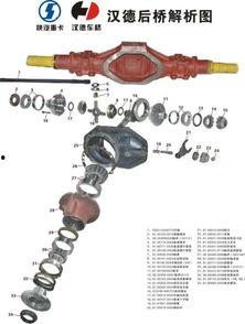 后桥视频,后桥视角下的城市风景线