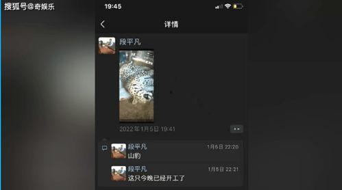 四虎视频网址,带你领略网络影视世界的精彩瞬间