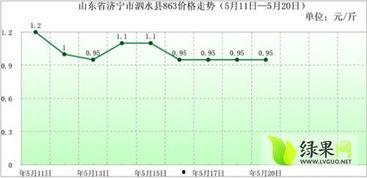 汉瓜今日行情走势分析最新,洞察今日走势，揭秘市场动态