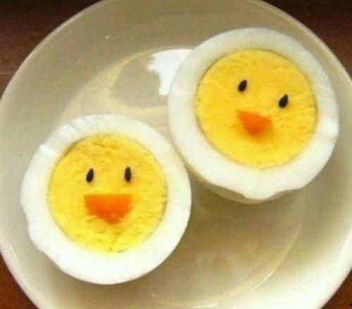 吃瓜爆料蛋团,蛋团背后的惊人真相大揭秘