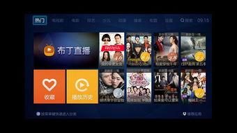 布丁视频,揭秘美食背后的故事与制作技巧