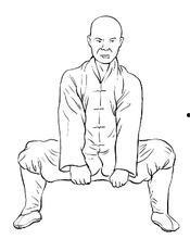 马步视频,掌握武术根基，提升实战能力