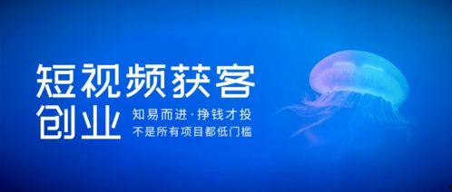 创业短视频,镜头下的创业激情与智慧