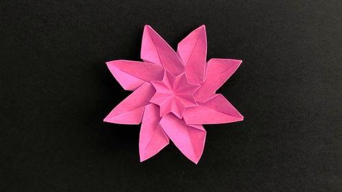 折花的视频,折花艺术之美，一花一世界