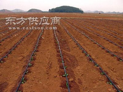 喷灌安装视频,轻松掌握高效灌溉技巧