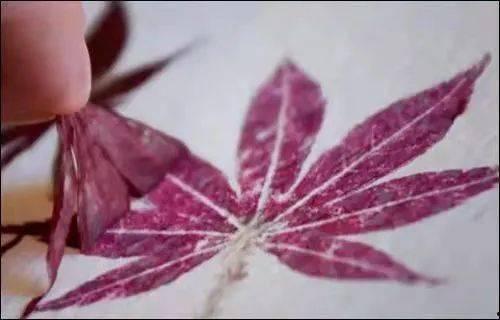 拓印视频,探索传统技艺与现代技术的完美融合