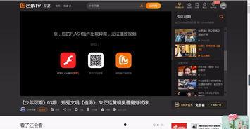 视频播放不了,视频播放故障排查指南