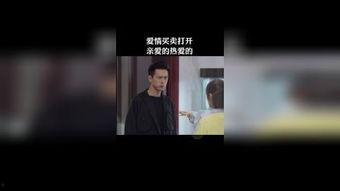 真爱视频,见证情感的力量与真挚