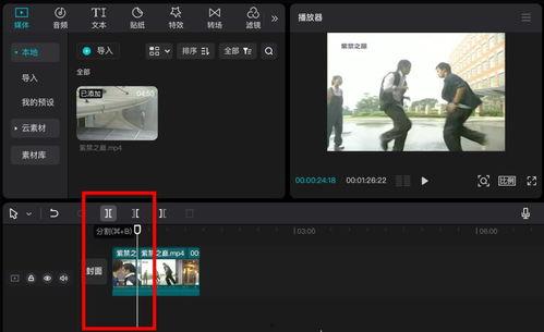 成了视频,一窥全貌