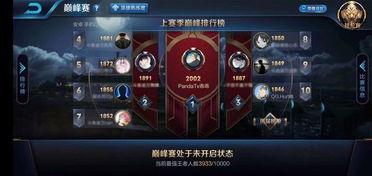 巅峰赛视频,高手对决，策略制胜